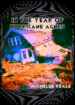 book cover of a house floating away in a flood titled In the Year of Hurricane Agnes by Michelle Reale